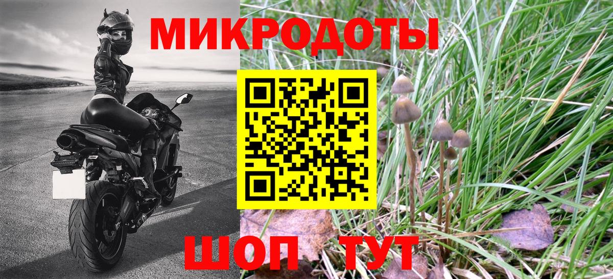 Псилоцибиновые грибы Psilocybe  Псилоцибиновые грибы Psilocybine cubensis  Пугачёв  Вход с VPN 